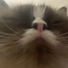 Profile picture of dan